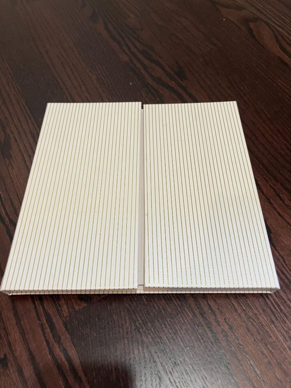 Erin Condren Focused Edition Padfolio, Vegan Leather, Pinstripe, New